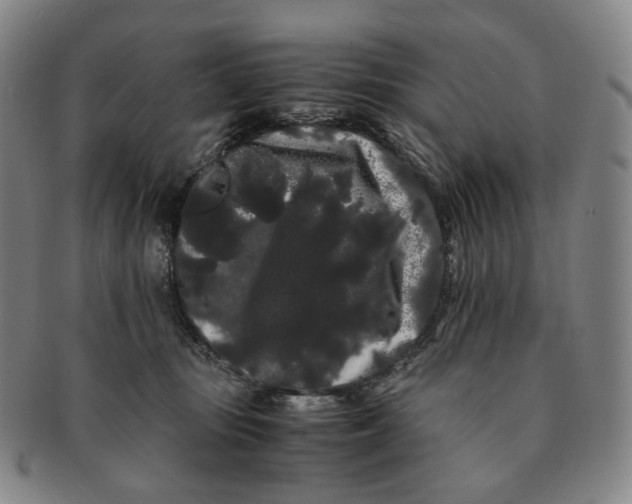 X0000091240371200708301544