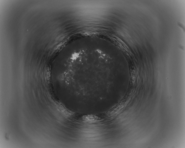 X0000091240372200708301544