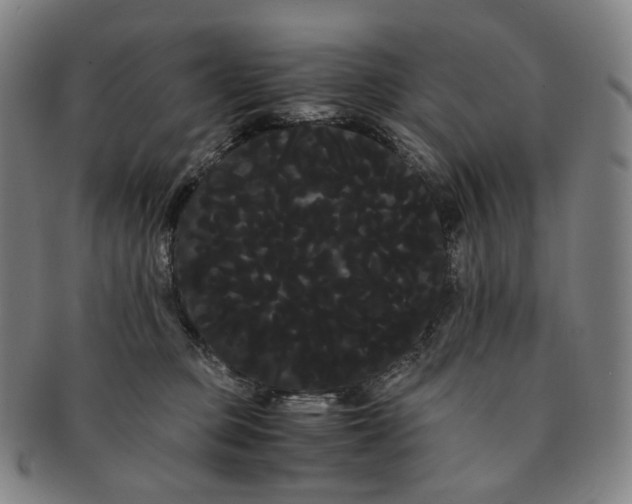 X0000091240373200708301544