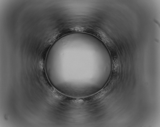 X0000091240374200708301544