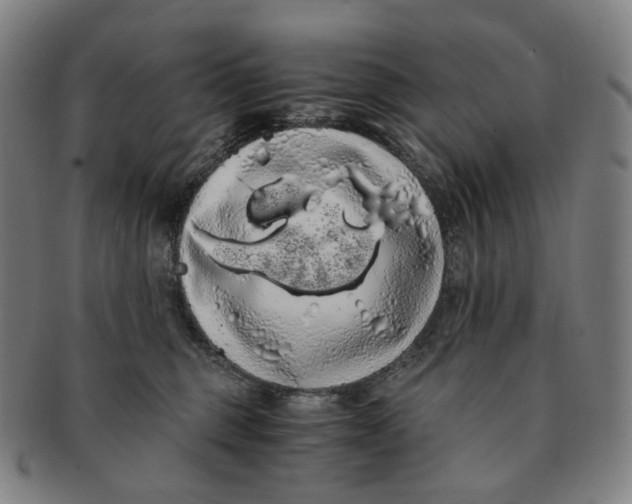 X0000091240375200708301544