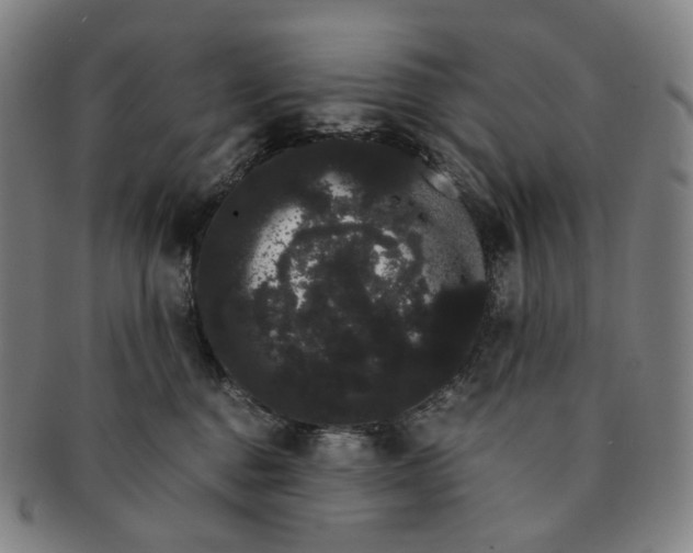 X0000091240376200708301544