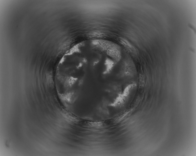 X0000091240377200708301544