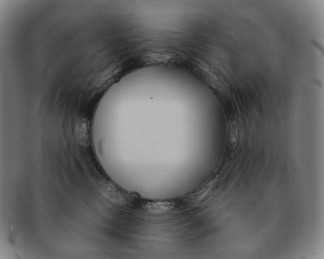 X0000091240378200708301544