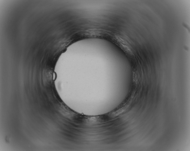 X0000091240382200708301545