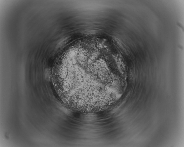 X0000091240383200708301545