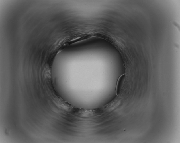 X0000091240384200708301545