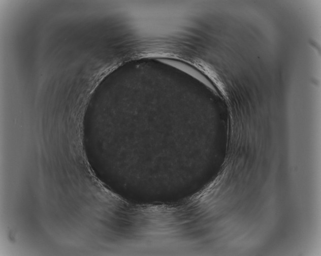 X0000091240385200708301544