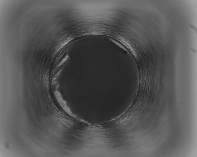 X0000091240386200708301544