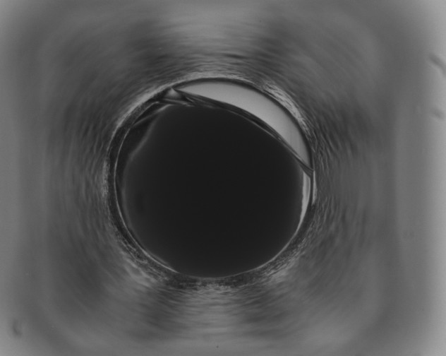 X0000091240387200708301544