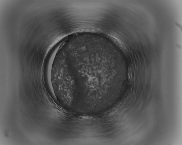 X0000091240388200708301544