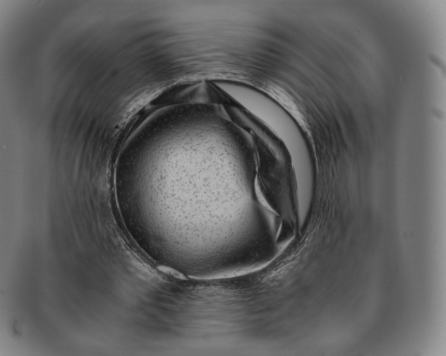 X0000091240389200708301544