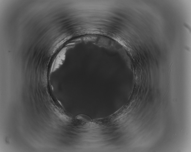 X0000091240390200708301544