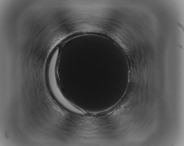 X0000091240391200708301544