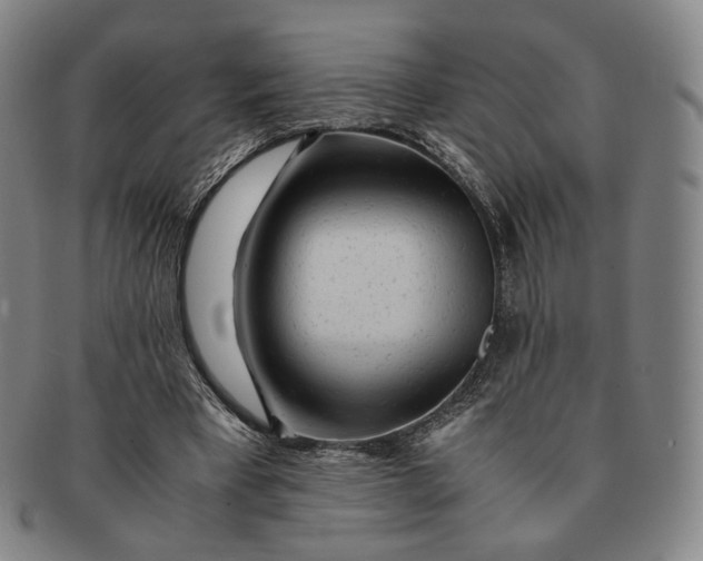 X0000091240393200708301544