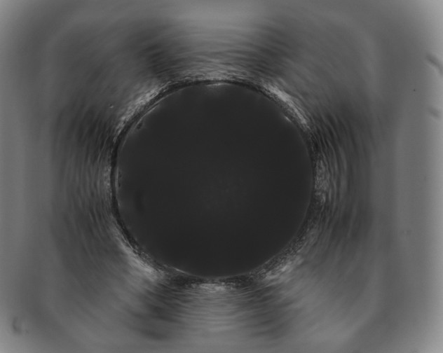 X0000091240394200708301544