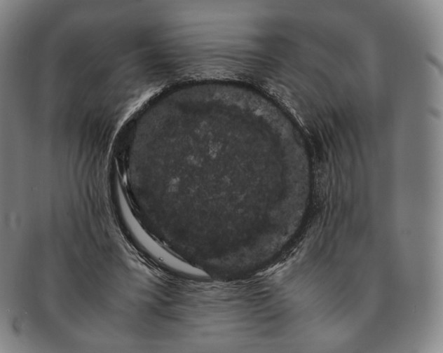 X0000091240395200708301544