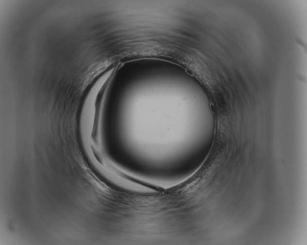 X0000091240397200708301544