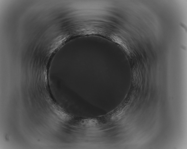 X0000091240398200708301544