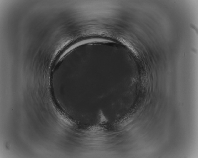 X0000091240399200708301544