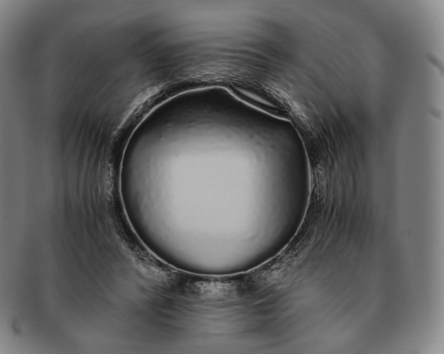 X0000091240400200708301543