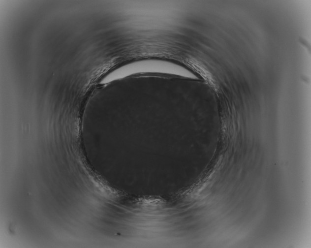 X0000091240401200708301543