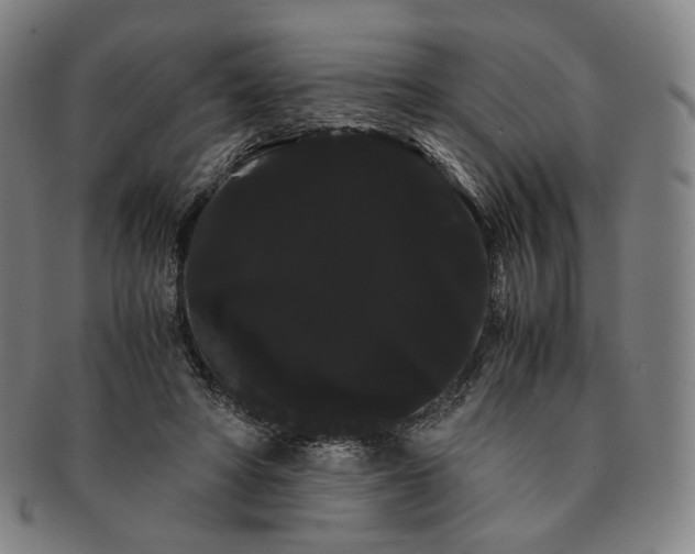 X0000091240402200708301543