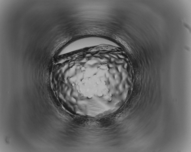 X0000091240403200708301543