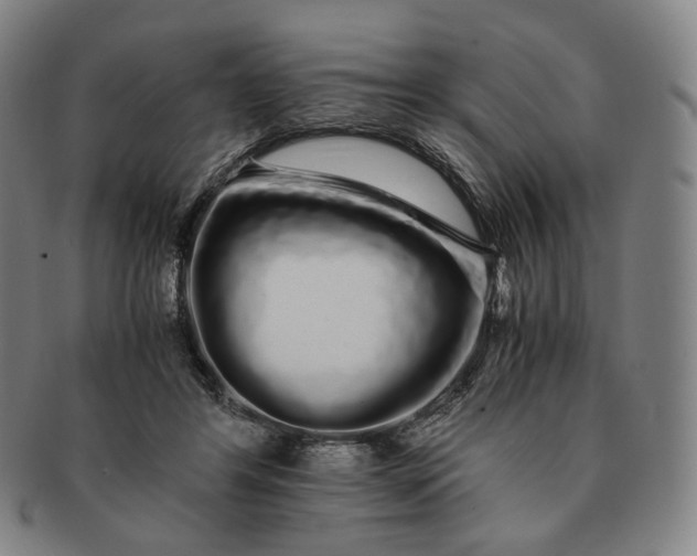 X0000091240404200708301543