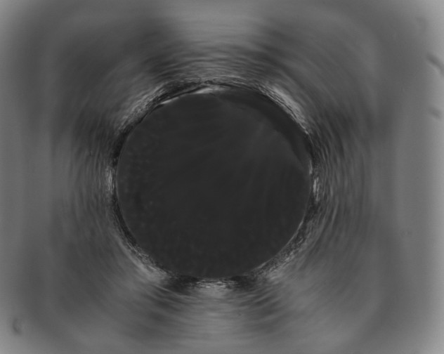 X0000091240405200708301543