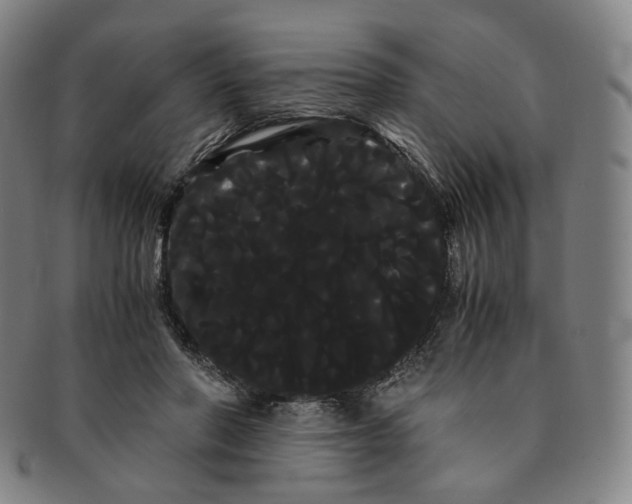 X0000091240406200708301543