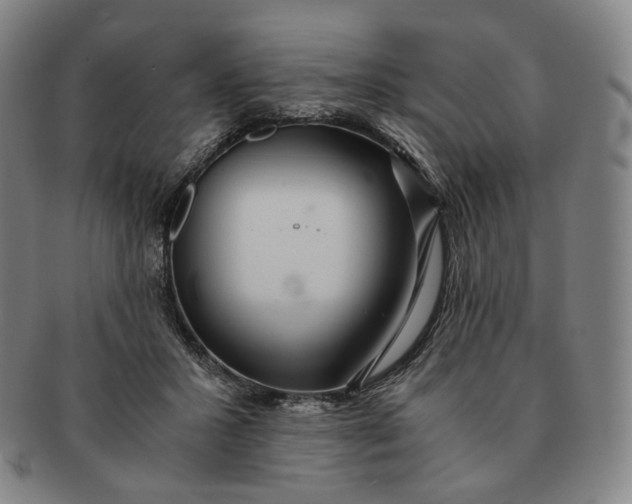 X0000091240407200708301543