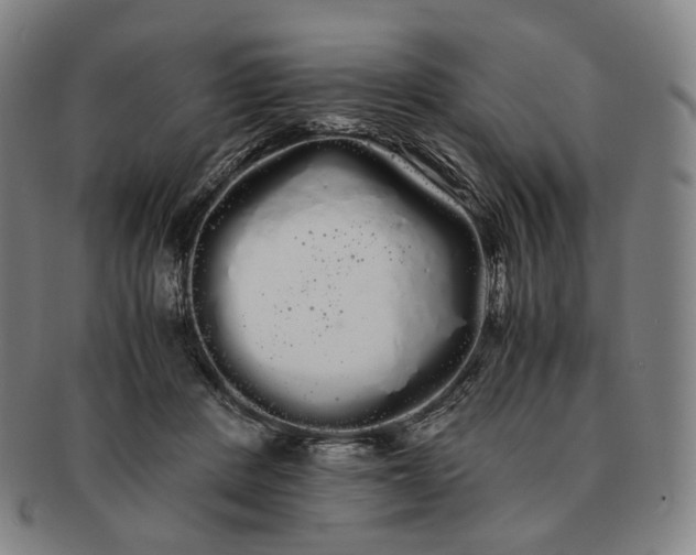 X0000091240408200708301543