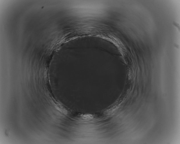 X0000091240409200708301543