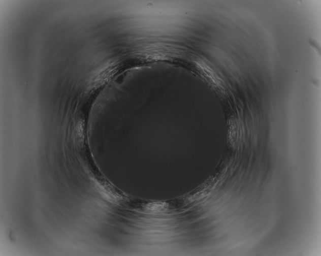 X0000091240410200708301543