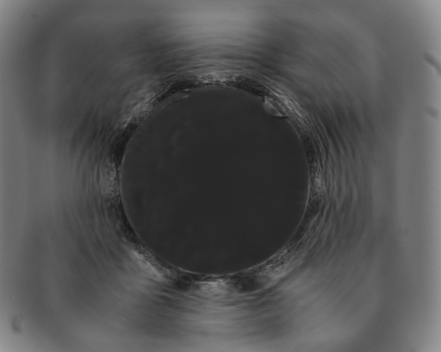 X0000091240411200708301543