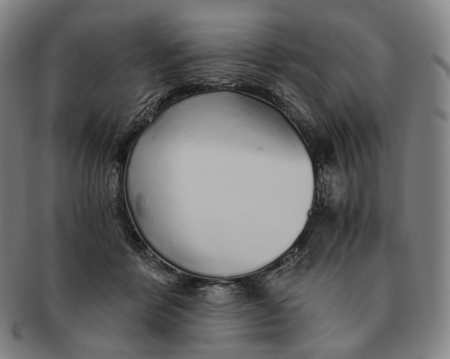 X0000091240412200708301543