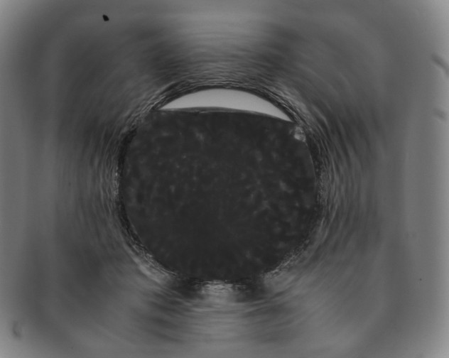 X0000091240413200708301543