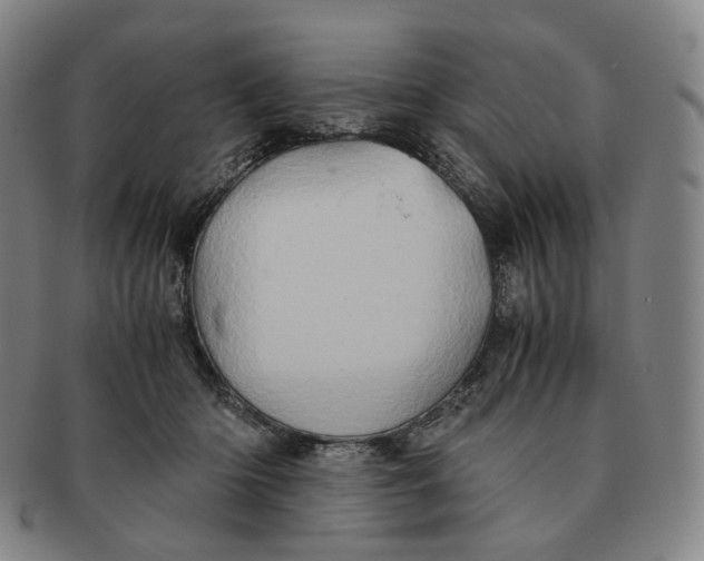 X0000091240414200708301543