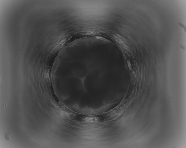 X0000091240415200708301543