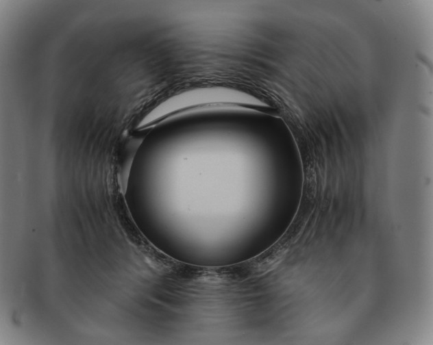 X0000091240416200708301543