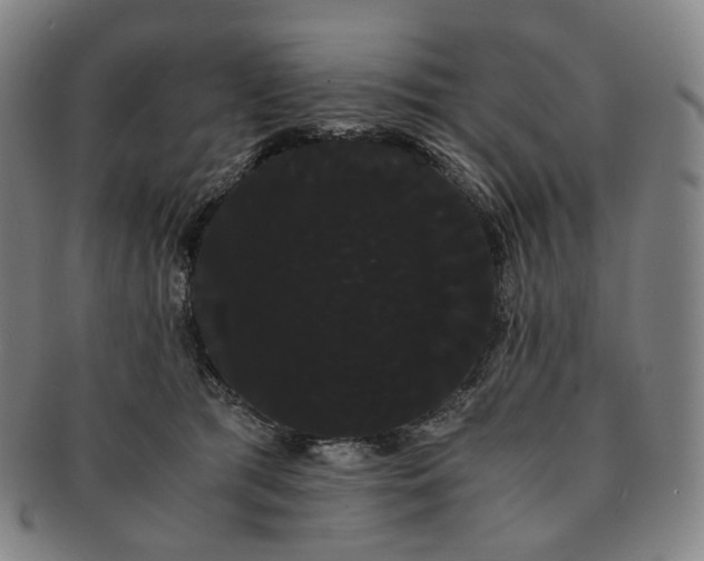 X0000091240417200708301543