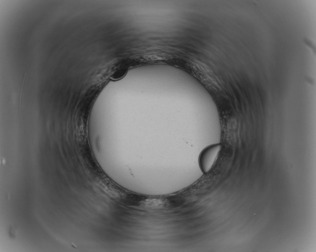 X0000091240418200708301543