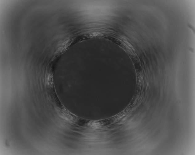 X0000091240419200708301543