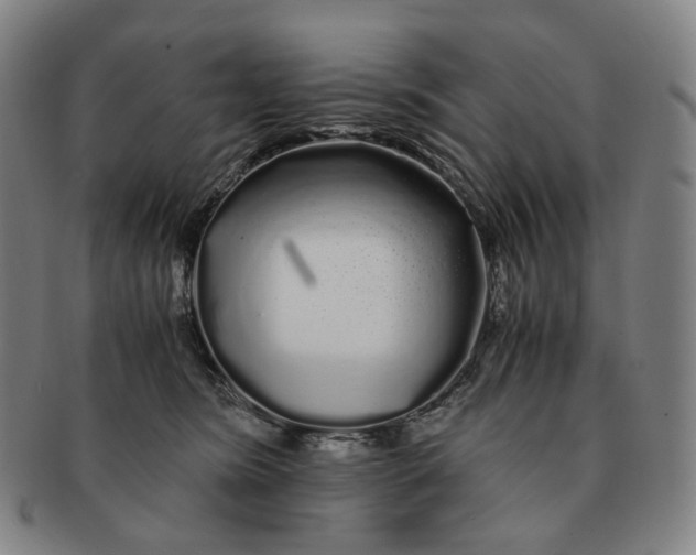 X0000091240420200708301543