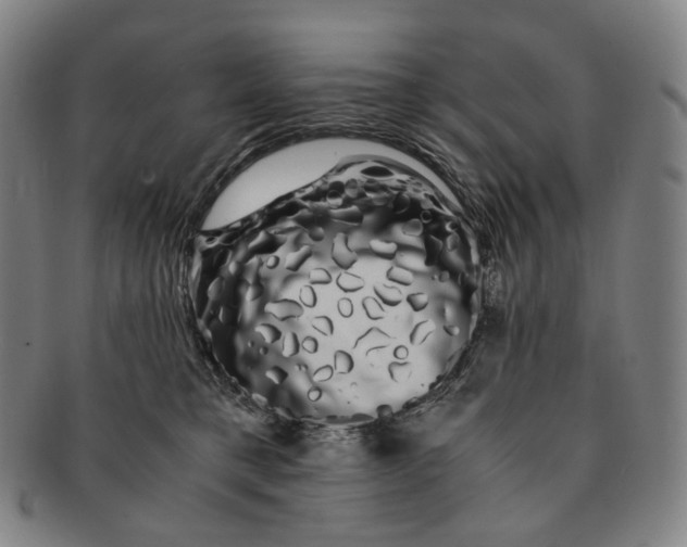 X0000091240421200708301543