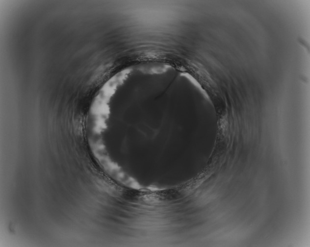 X0000091240423200708301543