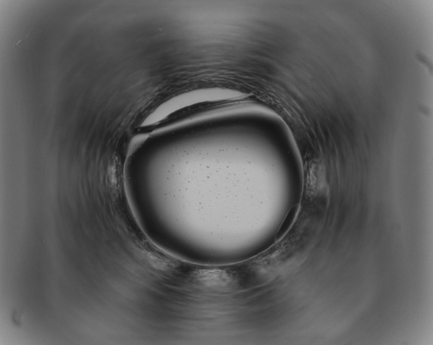 X0000091240424200708301543