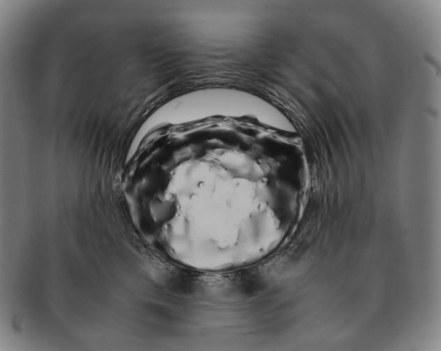 X0000091240425200708301543