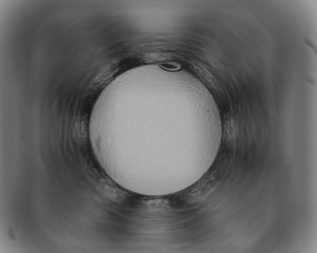 X0000091240426200708301543